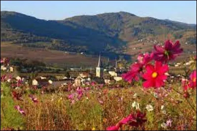 Commune de l'arrondissement de Villefranche-sur-Sa&ocirc;ne, Lantigni&eacute; se situe dans le d&eacute;partement ...