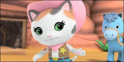 Dans quelle ville Callie fait régner l'ordre et la justice dans "Shérif Callie au Far West" ?