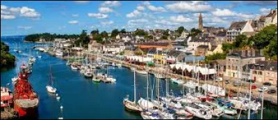 Douarnenez et Landerneau sont des villes du département :