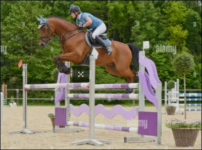 Quel est cet obsacle ?