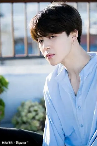 Quelle est la couleur préférée de Jimin ?