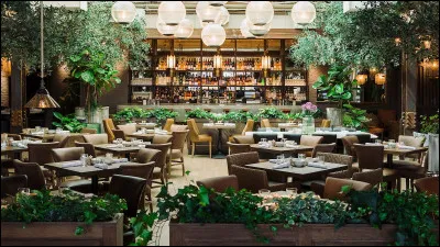 Quel genre de restaurant préfères-tu ?