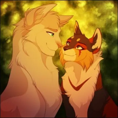 Ombre dÉrable a eu 2 chatons.