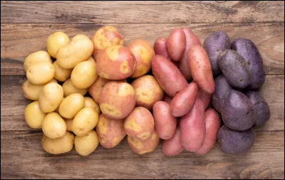 Combien existe-t-il de sortes de pommes de terre environ ?