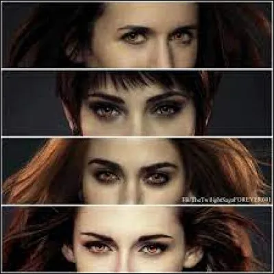 Quel est ton repas préféré ?