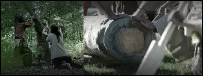 Ayant besoin de place pour leurs cultures et leurs "maisons longues" (mesurant jusqu'à 50 m !), les "rubanés" abattent un nombre conséquent d'arbres : quel temps leur fallait-il pour un seul tronc, munis d'une hache de pierre ?