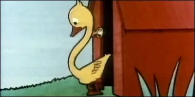 Comment s'appelle ce canard au long cou ?