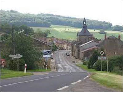 Village du Grand-Est, &agrave; proximit&eacute; du d&eacute;partement des Ardennes, Moulins-Saint-Hubert se situe ...