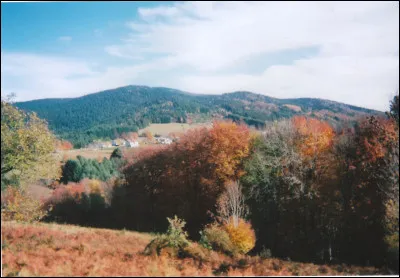 Le point culminant est le Puy de Montoncel, &agrave; 1 287 m&egrave;tres d'altitude, situ&eacute; dans les monts du Bourbonnais :