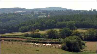 Le point culminant est le Grand Montarnu, &agrave; 857 m&egrave;tres d'altitude, sur la bordure du Morvan :
