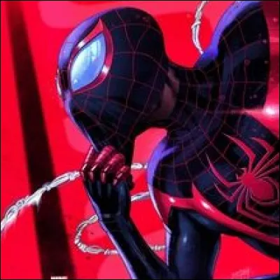 Quelle est l'identité de Spider-Man ?