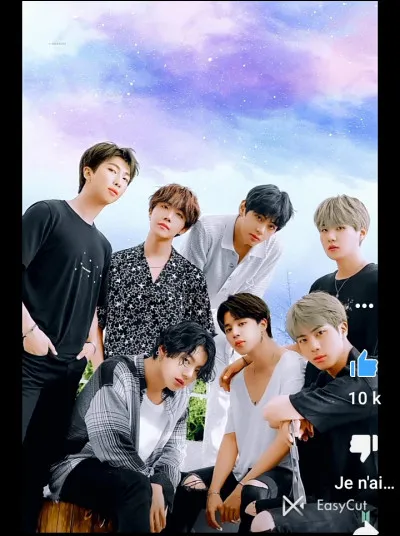 Par quelle entreprise le groupe a-t-il &eacute;t&eacute; form&eacute; ?