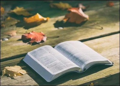 Lhomme que vous cherchez est un écrivain et journaliste français du XIXème siècle ayant écrit « Au Bonheur des Dames ».