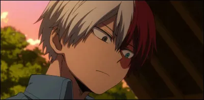 Quelle taille fait Shoto ?