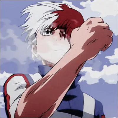 Qui est Rei Todoroki dans la famille de Shoto ?