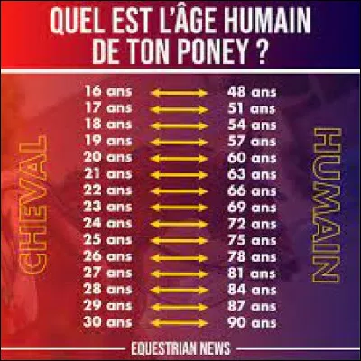 Dans le milieu hippique, l'âge du cheval change...