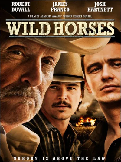 "Wild Horses" est une chanson des...