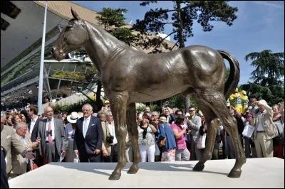 Quel est le nom du cheval ayant gagné le plus de Prix d'Amérique ?