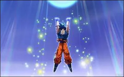 Comment s'appelle la technique de Son Goku ?
