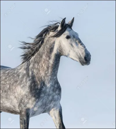 Quelle est cette robe ?