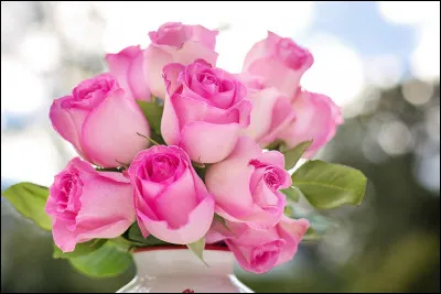 Les films de quel genre peuvent être considérés comme « films à leau de rose » ?