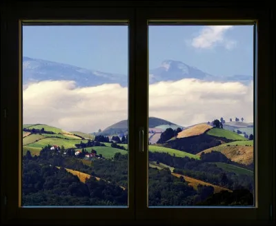 Quel poète français du XIXe est l'auteur du poème en prose "Les Fenêtres" ?