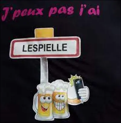 Commune B&eacute;arnaise, Lespielle se situe en r&eacute;gion ...