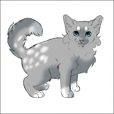 Tu as des chatons, comment les appelles-tu ?