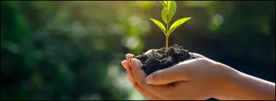 Dans la vie, qu'est-ce qui compte le plus pour toi ?