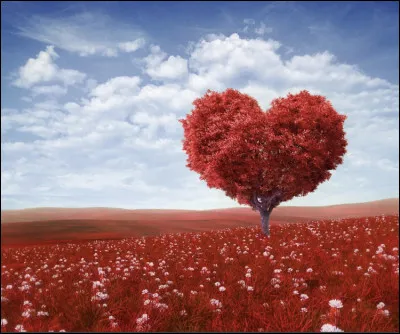 Comment est ta situation amoureuse ?