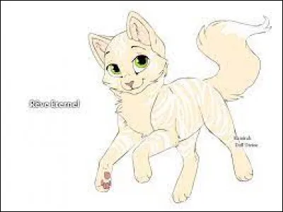 Comment son compagnon est-il ?