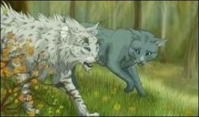 Quel pouvoir avait-il ?