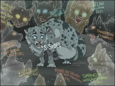 À quel âge est-il devenu guérisseur ?