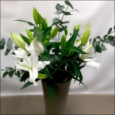 À quel auteur faut-il attribuer le roman "Le Lys dans la vallée" ?