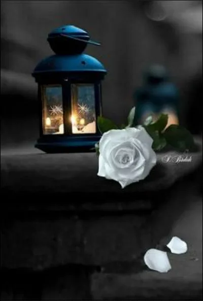 Qui chantait "Le Temps des fleurs" ?