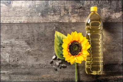 Quelle hauteur un tournesol peut-il atteindre ?