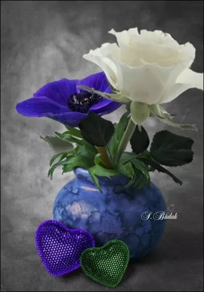 Qui a écrit le roman "Changer l'eau des fleurs" ?