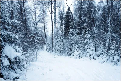 Et saurez-vous retrouver la plus froide ?