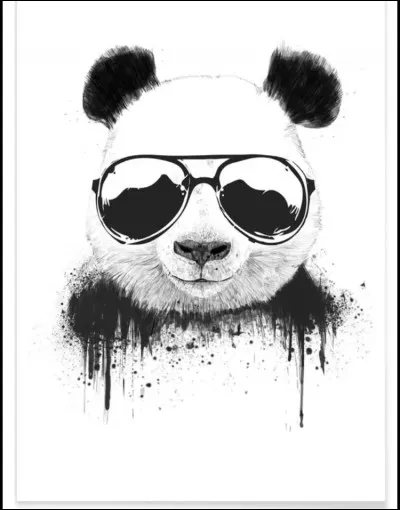 Veux-tu un frère ou une sur ?