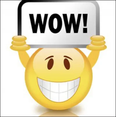 Que veux-tu faire avec elle ou lui ?