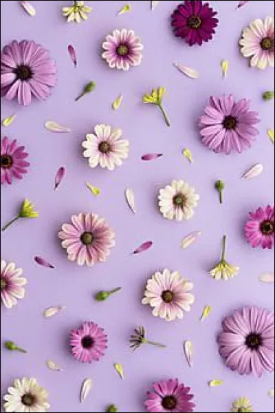 Quel était le métier de Frédéric Rouge ?