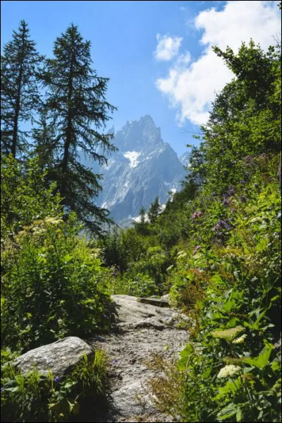 Les __tinelles circulent dans la ville.