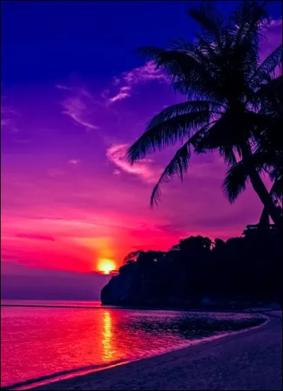 Avec qui Noé sort-il ?