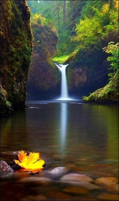 Avec qui l'Enchanteur est-il sorti ?