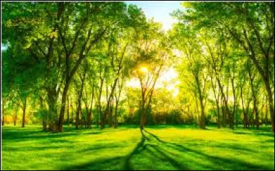 Nommez cette couleur.