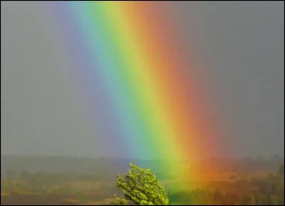 Quelle est ta couleur préférée ?