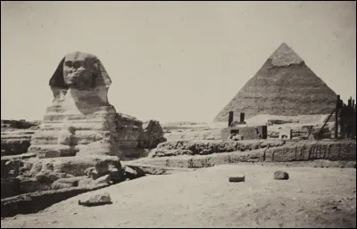 Pour finir, quelle est la plus ancienne race de chats ?