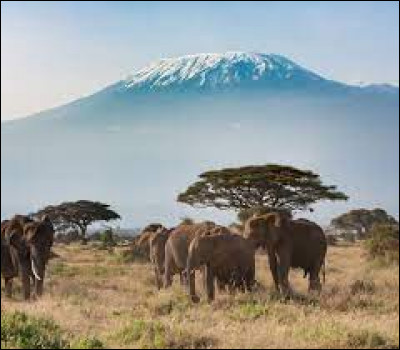 Dans quel pays le Kilimandjaro s'élève-t-il ?