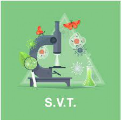 Science de la vie de la terre (SVT) : Qu'est-ce qu'une allèle ?