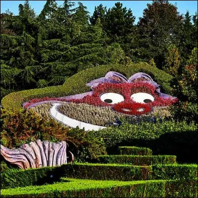 Quelle est cette attraction ?